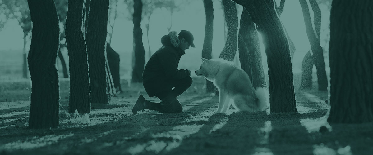 Man surrounded by trees bends down to say hi to his dog at dusk with golden light coming from behind them.